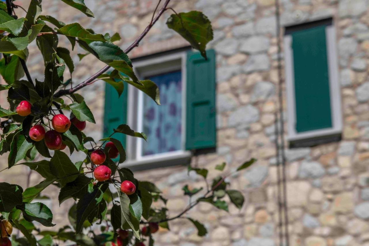 Podere P Ratizzoli II Piano Tole Eksteriør bilde